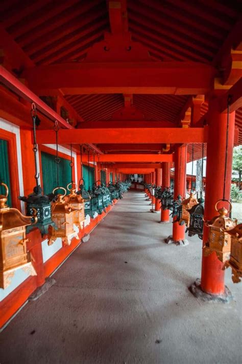 Sakura A Nara I Luoghi Migliori Per La Fioritura Dei Ciliegi Tra