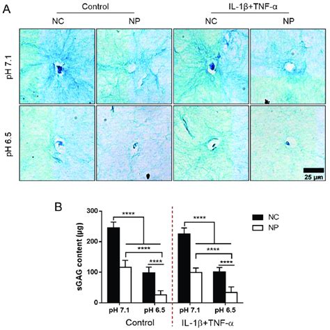 A Histological Evaluation Of Hydrogels With Alcian Blue To Identify