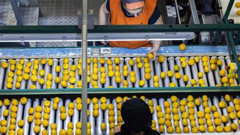 Fruta Mercadona De D Nde Son Las Naranjas Que Vende Mercadona El