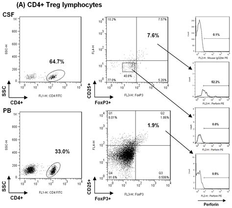 Ijms Free Full Text Perforin Expression By Cd4 Regulatory T Cells