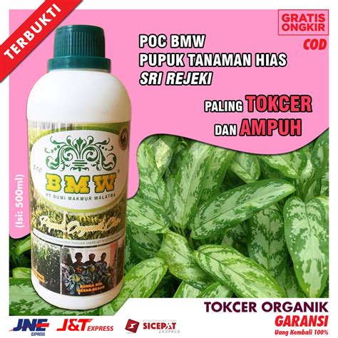 Jual Pupuk Organik Cair Tanaman Perangsang Bunga Aglonema Sri Rejeki