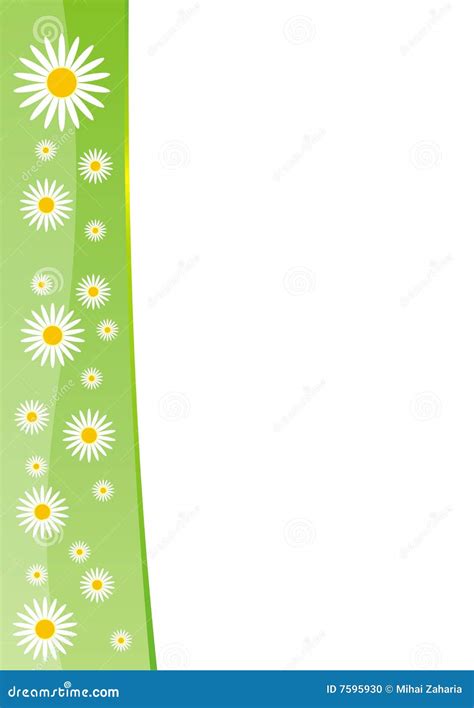spring border template stock vector illustration  chamomile