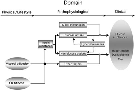 Full Article Is Insulin Resistance The Cause Of The Metabolic Syndrome