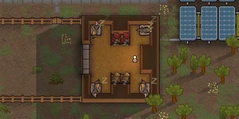 Rimworld Animal Feeding Guide