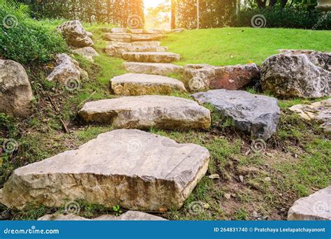 Pedra Gigante Serve Para Escadas Conectando Caminhos De Jardim Foto De