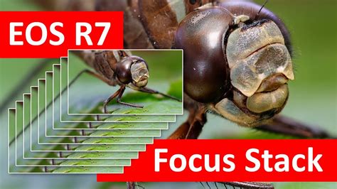 EOS R7 Focus Stack Montage In Camera Dutch YouTube