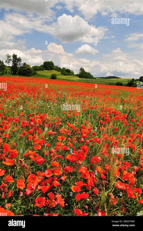 Fallow Field Crop Rotation Hi Res Stock Photography And Images Alamy