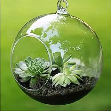 Terrarium Ball Globe Shape Clear Hanging Glass Vase Flower Plants Terrarium Container Micro