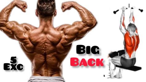 5 Best Huge Back Workout To Get Bigger Back Fast Back Excercise Youtube