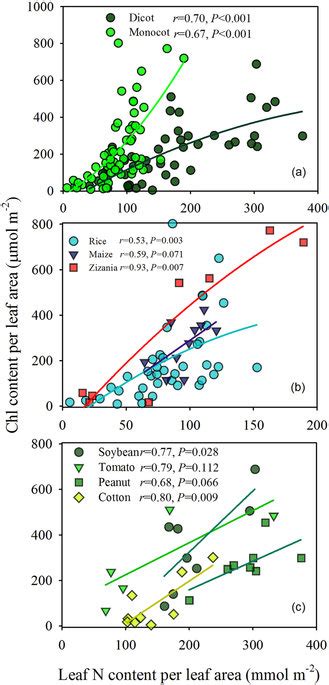 The Relationship Between Chlorophyll Content Per Leaf Area And Leaf N