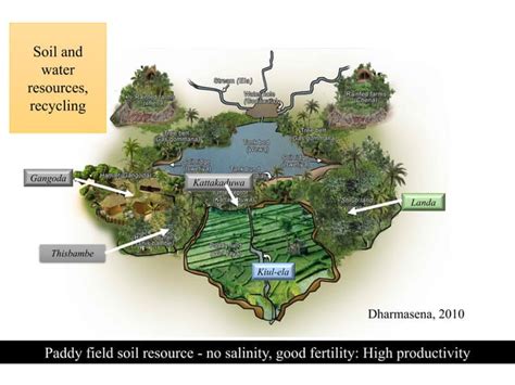 Indigenous Knowledge Systems 5 Ppt