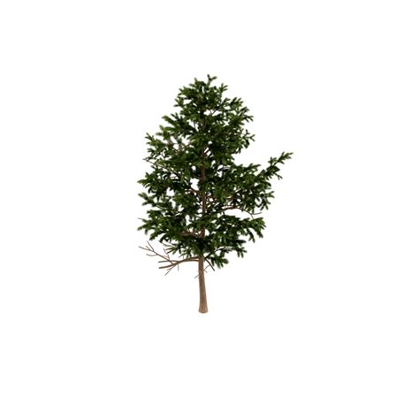 Isometric Tree 3d Render 13922491 Png