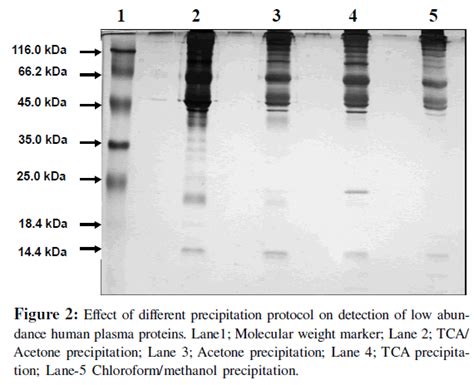 An Effective Method For The Analysis Of Human Plasma Proteome Usi