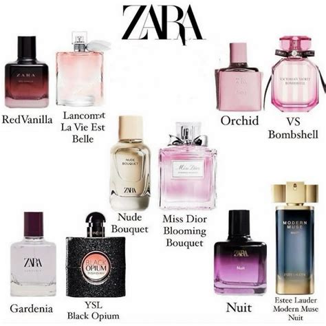 Inspiração das Fragrâncias Zara in 2024 Perfume collection