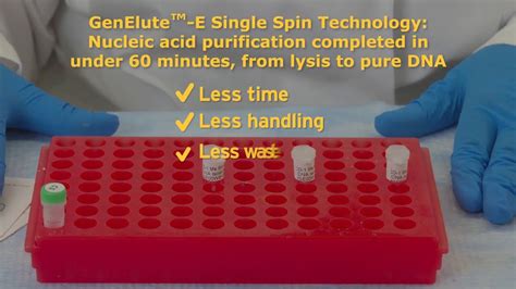 GenElute E Single Spin DNA And RNA Purification Kit Protocol YouTube