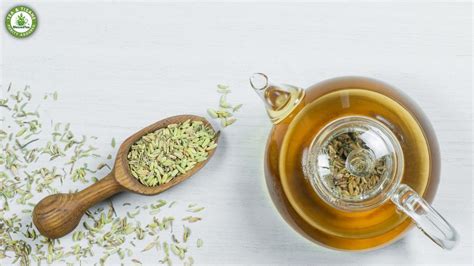 5 Super Amazing Benefits Of Fennel Tea Blessedtea® India