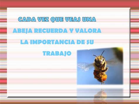 Presentaci N Abejas Comprimida Ppt