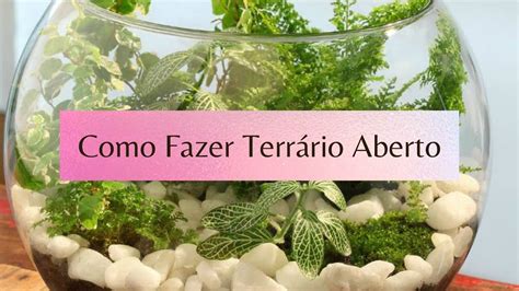 Como Fazer Terrário Aberto Passo a Passo YouTube