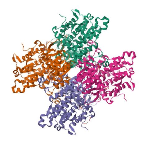 Rcsb Pdb Ajv Crystal Structure Of The Q N Mutant Of S Adenosyl L