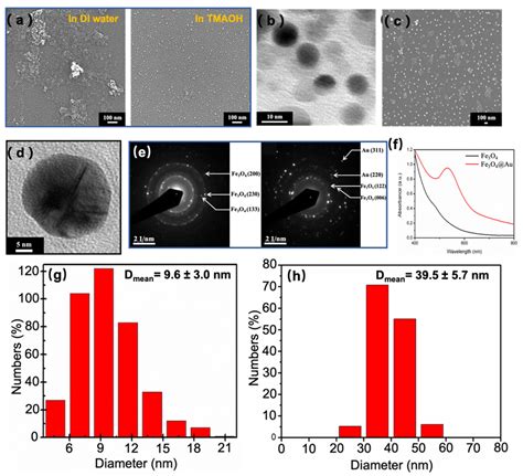 Nanomaterials Free Full Text The Multifunctionally Graded System