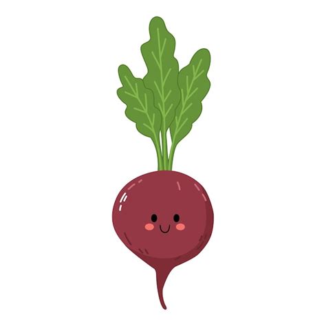 Premium Vector Hand Drawn Cute Beetroot Illustration