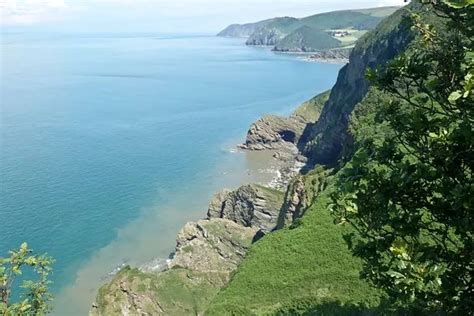 World S Oldest Fossil Forest Discovered Near Somerset Butlin S