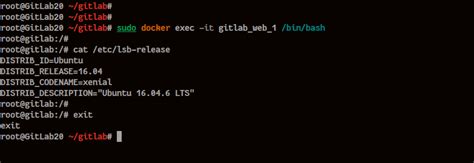 How To Install Gitlab With Docker On Ubuntu Lts C Ng Ng Linux