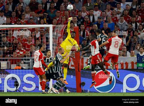 V Li Jamal Musiala Fc Bayern Muenchen Fotograf As E Im Genes De Alta