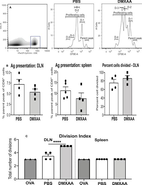 Frontiers The Sting Agonist Dmxaa Reduces Tumor Vessels And