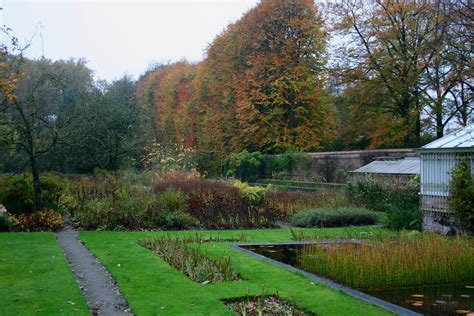 Out of the box: The Private Garden of Jacques Wirtz | Oxonian Gardener