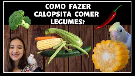 COMO ENSINAR CALOPSITA COMER LEGUMES VEGETAIS E VERDURAS YouTube