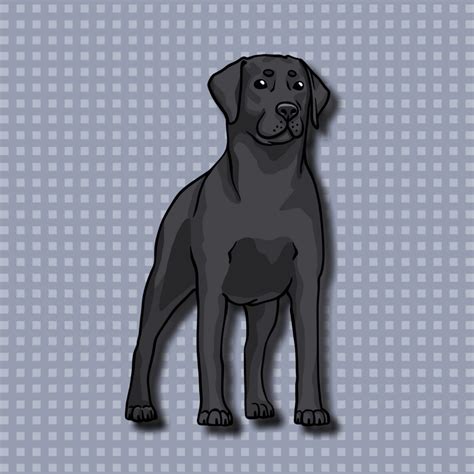 Cute Black Lab Labrador Retriever Super Adorable Kawaii Etsy