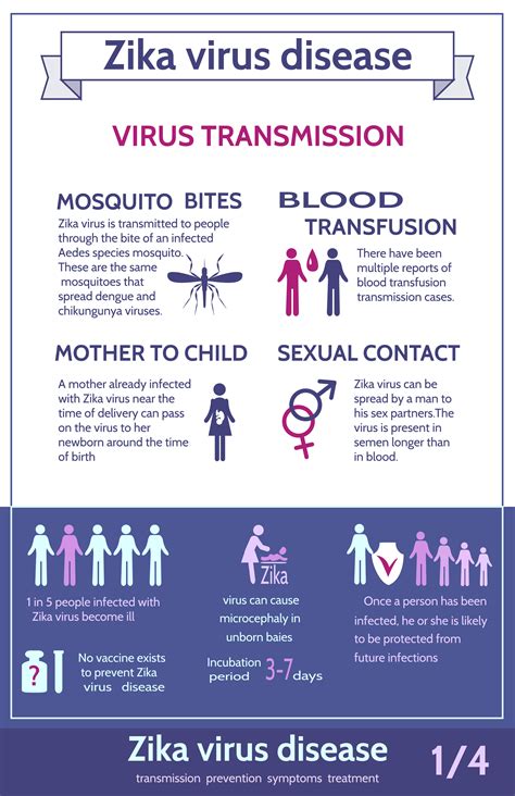 Zika Infographics Transmissionsymptomstreatment And Prevention