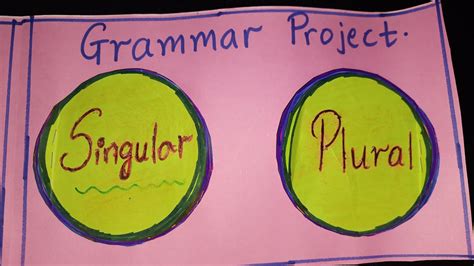 Singular And Plural English Grammar Project Class 1 Youtube