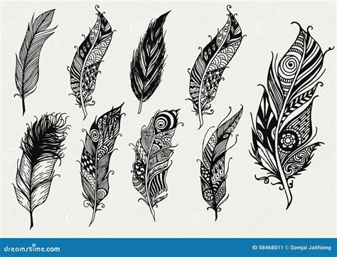 Set Of Hand Drawn Rustic Decorative Feathers Stock Vector Image