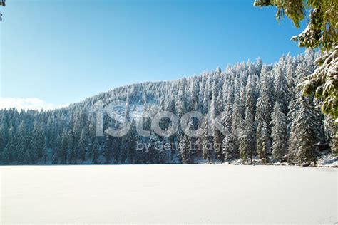 Lake Mummelsee In The Black Forest At Winter Stock Photo | Royalty-Free ...