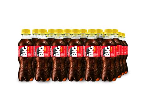 BIG COLA PET NO RETORNABLE 300 ML 24