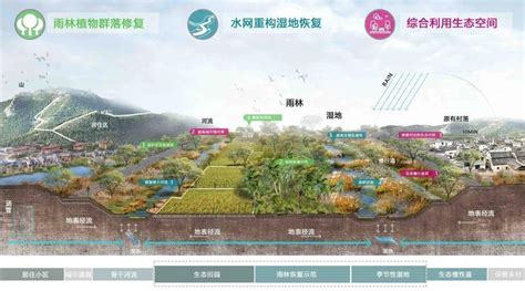 生态系统保护和修复，如何实现质的飞跃？海南岛