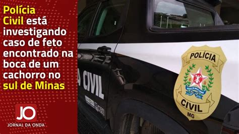 Feto Humano Encontrado Na Boca De Cachorro Em Cidade Do Sul De Minas