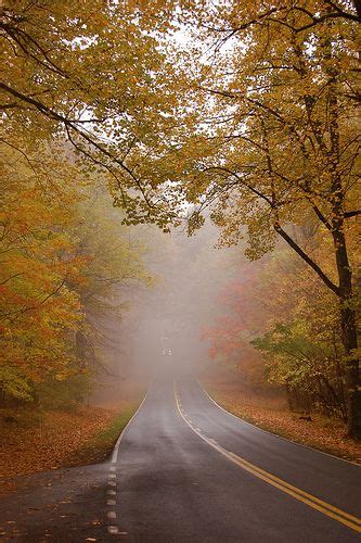 Fog and fall foliage skyline drive – Artofit