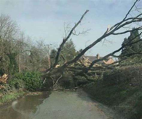 Uk Homes Still Without Power After Storm