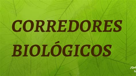 Corredores Biologicos 20 By Sara Hernandez On Prezi