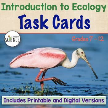 Introduction To Ecology Task Cards By Amy Brown Science Tpt