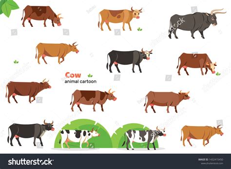 Cow Different Breeds Cows Flat Style Stock Vector (Royalty Free ...