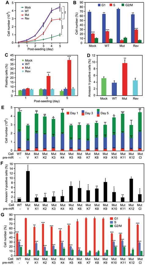 Kshv Mirs Promote Cellular Proliferation By Regulating Cell Cycle And