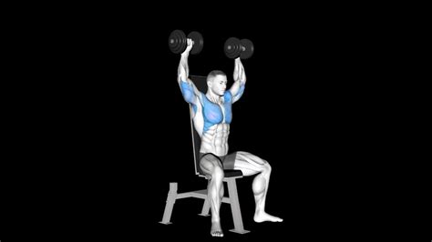 Seated Dumbbell Shoulder Press Form – Two Birds Home