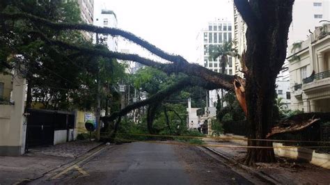 Chuva Derruba árvores Em Sp 26022019 Temporal Fotografia