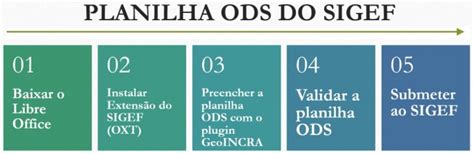 Requisitos Para A Planilha ODS Do SIGEF GeoOne