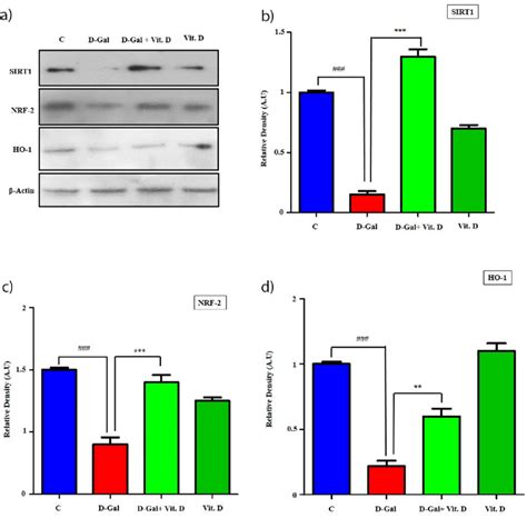 Vt D Attenuated D Gal Induced Oxidative Stress Via Sirt Nrf Ho