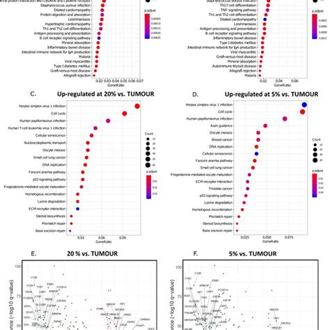 Expression Of Stemness And Differentiation Marker And Emt Genes In Gbms